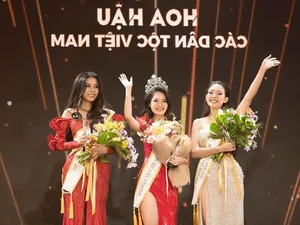 Nông Thúy Hằng: The Journey of a Beauty Queen Before Marriage - image 0