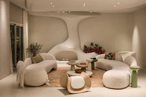Stunning 500m2 Egyptian Villa Featuring Innovative Curved Architectural Design - image 9