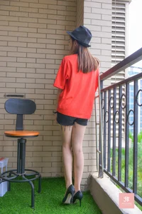 IESS Puhui Series 068 Featuring New Model Qing Ping ES6 C - image 2