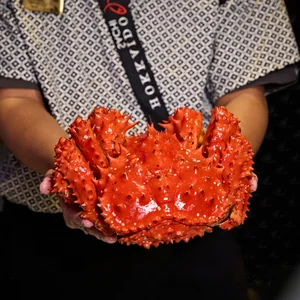 Gourmet Delights: Exquisite Dishes Prepared with the Rare Hanasaki Queen Crab - image 3