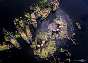 Exploring Long An: A Comprehensive Travel Guide to Vietnam's Mekong Delta Gem - image 2