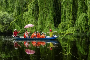 Exploring Long An: A Comprehensive Travel Guide to Vietnam's Mekong Delta Gem - image 1