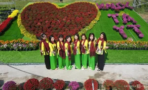 Exploring the Vibrant Sa Dec Flower Village During Vietnam's Tet Festival - image 9