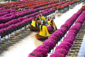 Exploring the Vibrant Sa Dec Flower Village During Vietnam's Tet Festival - image 5