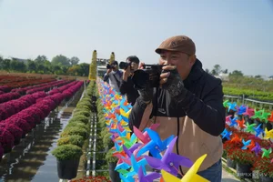 Exploring the Vibrant Sa Dec Flower Village During Vietnam's Tet Festival - image 1