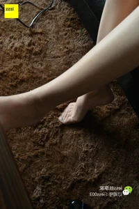 SiXiangJia 066 Xiao C: A Study in Elegance and Flat Shoe Fashion - image 13