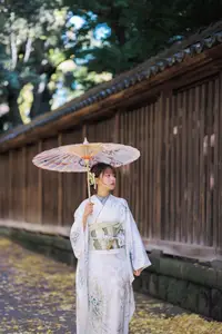 Elegant Kimono: Serene Asian Beauty with Traditional Japanese - image 5