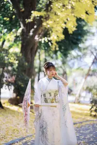 Elegant Kimono: Serene Asian Beauty with Traditional Japanese - image 6