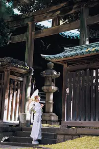 Elegant Kimono: Serene Asian Beauty with Traditional Japanese - image 8