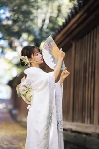 Elegant Kimono: Serene Asian Beauty with Traditional Japanese - image 3