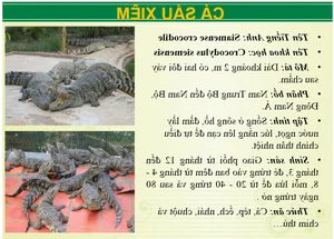Wildlife Wonders at Vuon Xoai Eco-Tourism: Beyond the Tigers - image 8