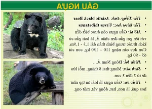 Wildlife Wonders at Vuon Xoai Eco-Tourism: Beyond the Tigers - image 4