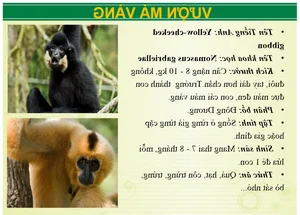 Wildlife Wonders at Vuon Xoai Eco-Tourism: Beyond the Tigers - image 5