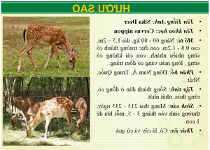 Wildlife Wonders at Vuon Xoai Eco-Tourism: Beyond the Tigers - image 3