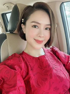 The Stunning Beauty Evolution of Vietnamese Actress Hong Diem Over the Last Decade - image 2
