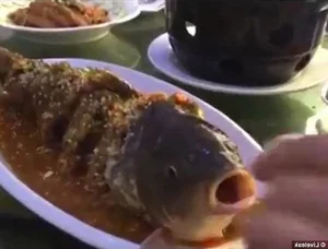 Controversial Delicacies: Why Top Chefs Refuse to Serve These Cruel Dishes - image 6