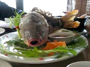 Controversial Delicacies: Why Top Chefs Refuse to Serve These Cruel Dishes - image 5