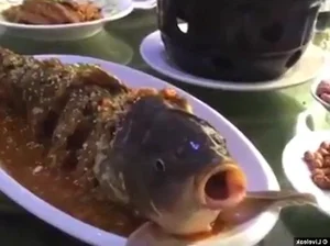 Controversial Delicacies: Why Top Chefs Refuse to Serve These Cruel Dishes - image 7