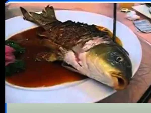 Controversial Delicacies: Why Top Chefs Refuse to Serve These Cruel Dishes - image 2