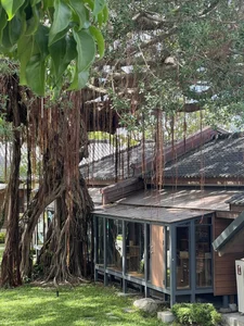 Discovering Little Japan in Taiwan: A Journey Through Chiayi's Historic Hinoki Village - image 5