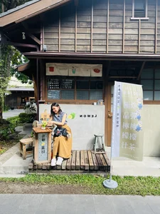 Discovering Little Japan in Taiwan: A Journey Through Chiayi's Historic Hinoki Village - image 7