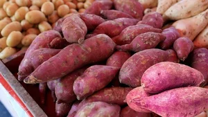 4 Creative and Easy Sweet Potato Recipes for a Healthy and Delicious Daily Menu - image 4