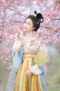Discover Ke Ke K's Timeless Hanfu Beauty Amidst Romantic Cherry Blossoms Vol.8528 - image 8