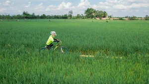 Best Weekend Cycling Excursions Near Ho Chi Minh City for Outdoor Enthusiasts - image 7