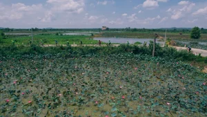 Best Weekend Cycling Excursions Near Ho Chi Minh City for Outdoor Enthusiasts - image 1
