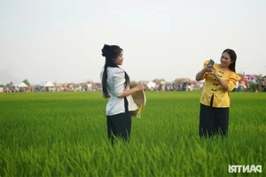 Exploring Ho Chi Minh City’s Unique Rural Food Market: A Cultural Phenomenon in the Fields - image 0