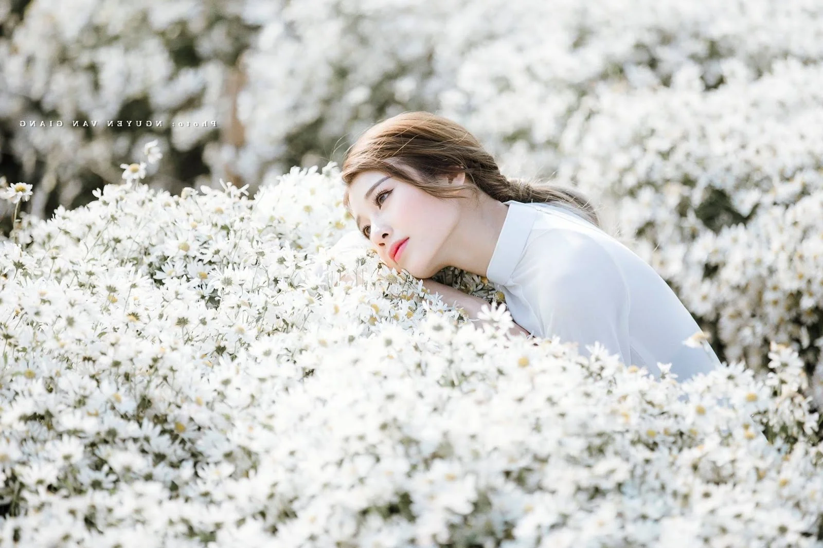 The Pure Elegance of the White Ao Dai: A Tribute to Vietnamese Student Tradition